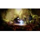 Ori and the Will of the Wisps Nintendo Switch Access