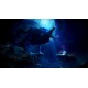 Ori and the Will of the Wisps Nintendo Switch Access