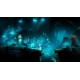 Ori and the Blind Forest: Definitive Edition Nintendo Switch Access