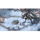 Pillars of Eternity II: Deadfire - Beast of Winter DLC EU PC Steam CD Key