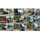 Lumberjack Simulator XBOX One / Xbox Series X|S Account