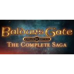 Baldur's Gate: The Complete Saga PC Steam CD Key