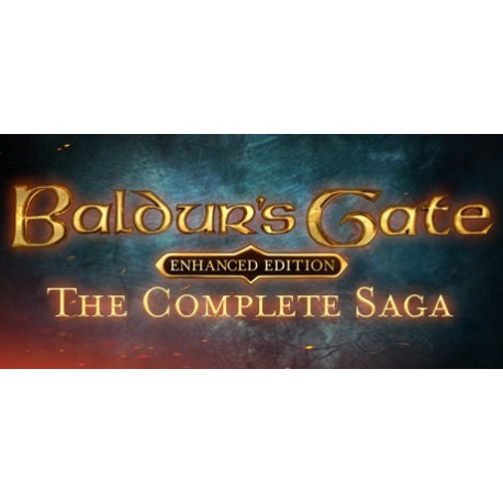 Baldur's Gate: The Complete Saga PC Steam CD Key