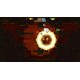 Toto Temple Deluxe EU PC Steam CD Key