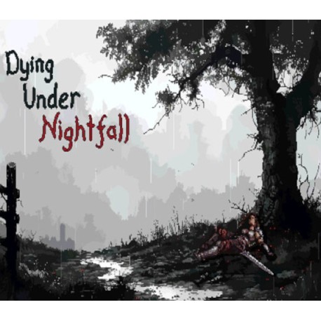 DYING UNDER NIGHTFALL PC Steam CD Key