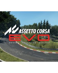 Assetto Corsa EVO PC Steam Account