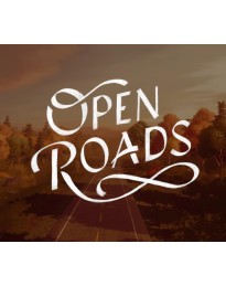 Open Roads PC Steam CD Key