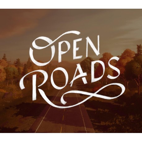 Open Roads PC Steam CD Key