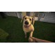 Pets Hotel NA PS5 CD Key