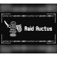 Raid Auctus PC Steam CD Key
