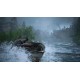 The Last of Us Part 2 Remastered PC Epic Games Account