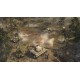 Company of Heroes 2 Digital Collector's Edition Steam Gift