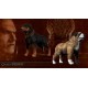 Game of Thrones - Dog Pack DLC Steam Gift