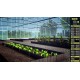 Agricultural Simulator Anthology Steam CD Key