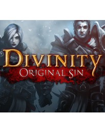 Divinity: Original Sin Digital Collector's Edition Single Pack Steam Gift
