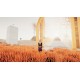 Torii Steam CD Key