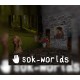 Sok-worlds Steam CD Key