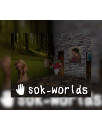 Sok-worlds Steam CD Key