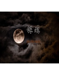 银魂：Silver Soul Steam CD Key
