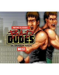 Retro Classix: Bad Dudes PC Steam CD Key