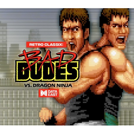 Retro Classix: Bad Dudes PC Steam CD Key