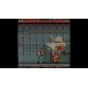 Retro Classix: Two Crude PC Steam CD Key