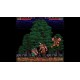 Retro Classix: Two Crude PC Steam CD Key