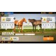 Rival Stars Horse Racing: Desktop Edition PC Steam CD Key