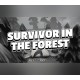 Survivor in the Forest PC Steam CD Key