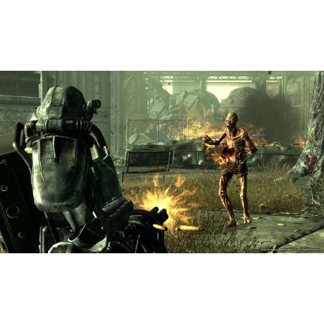 Fallout 3 GOTY MENA PC Steam CD Key