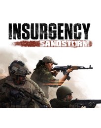 Insurgency: Sandstorm PlayStation 5 Account