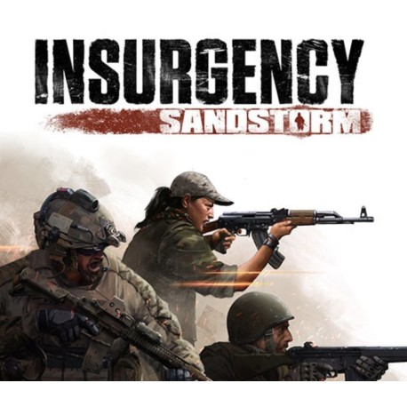 Insurgency: Sandstorm PlayStation 5 Account