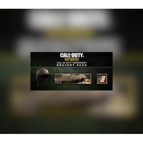 Call of Duty: WWII - Call of Duty Endowment Bravery Pack DLC EMEA PC Steam CD Key