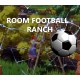 ROOM FOOTBALL: Ranch PC Steam CD Key