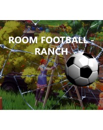 ROOM FOOTBALL: Ranch PC Steam CD Key