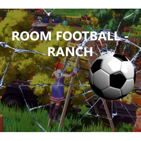 ROOM FOOTBALL: Ranch PC Steam CD Key