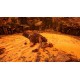 Necrophosis PC Steam CD Key