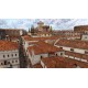 Pax Augusta PC Steam CD Key