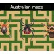 Australian maze PC Steam CD Key