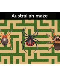 Australian maze PC Steam CD Key