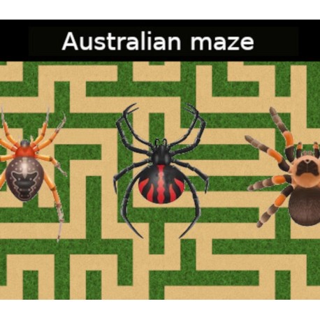 Australian maze PC Steam CD Key