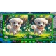 Mirror Quest Dog and Cat PC Steam CD Key