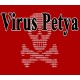 Virus Petya PC Steam CD Key