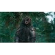 Days Gone - Broken Road DLC PC Steam CD Key