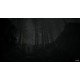 Husk PC Steam CD Key