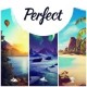 Perfect PC Steam CD Key