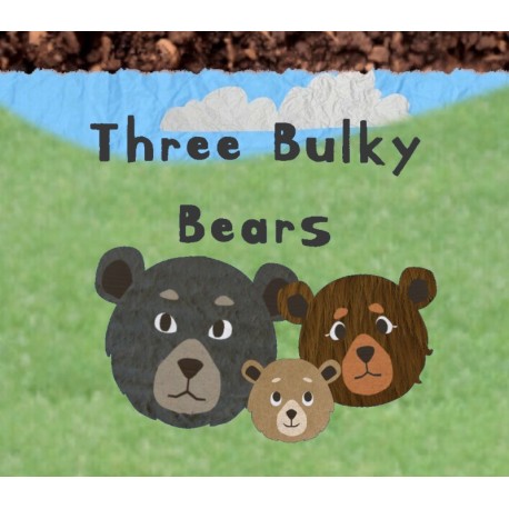 Three Bulky Bears PC Steam CD Key