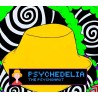 Psychedelia: The Psychonaut PC Steam CD Key