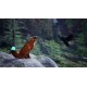 Spirit of the North 2 Xbox Series X|S CD Key
