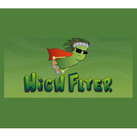 High Flyer PC Steam CD Key